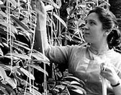 The Spaghetti Conspiracy